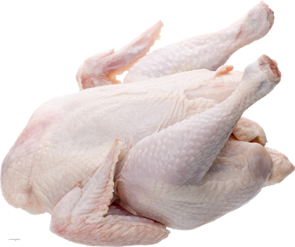 Frozen Chicken Breast Fillet exporters / Buy Frozen Chicken Breast Fillet exporters from Brazil / Frozen Chicken Breast Fillet exporters for sale near me